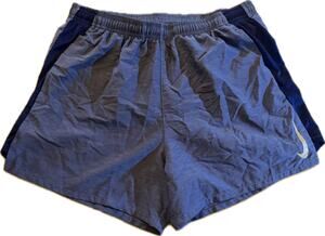 Nike Challenger Dri-FIT women’s Running Shorts Blue Size M Lined